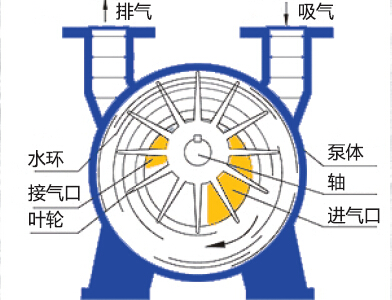 Dalian metering pump factory consulting
